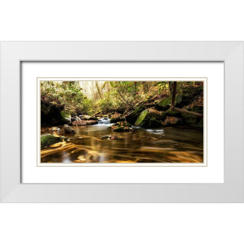 Moving Autumn III White Modern Wood Framed Art Print with Double Matting by Head, Danny