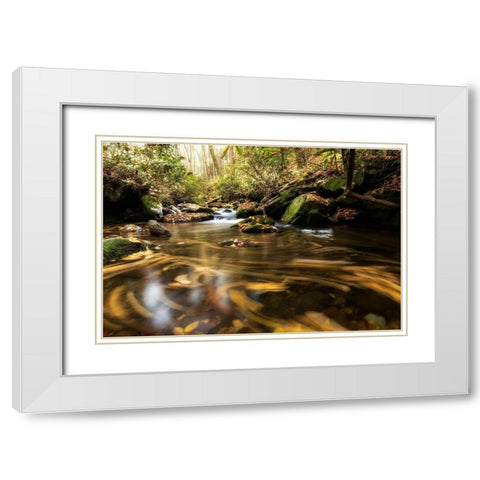 Moving Autumn IV White Modern Wood Framed Art Print with Double Matting by Head, Danny