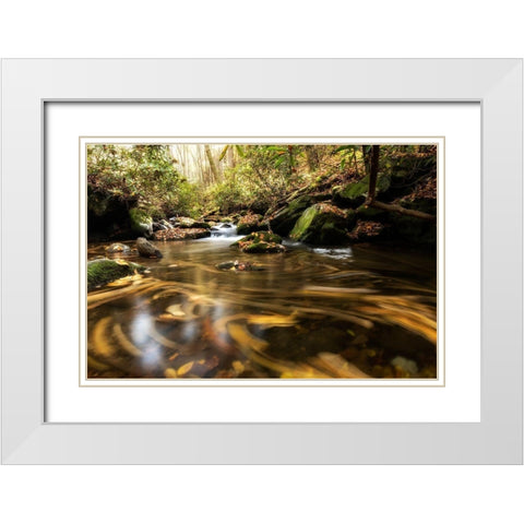 Moving Autumn IV White Modern Wood Framed Art Print with Double Matting by Head, Danny