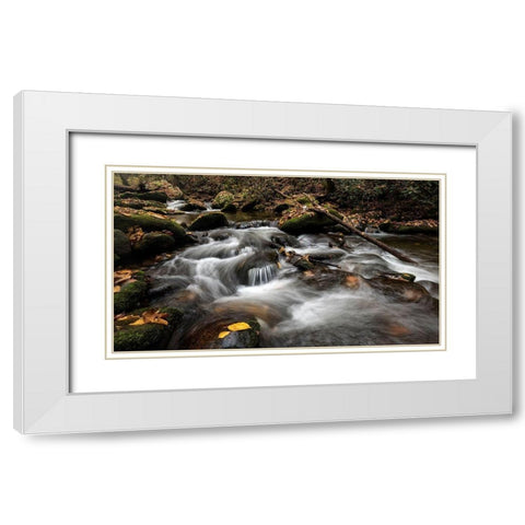 Fallen Leaves II White Modern Wood Framed Art Print with Double Matting by Head, Danny