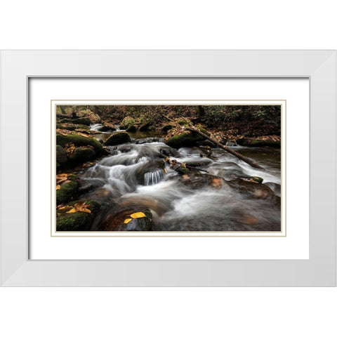 Fallen Leaves II White Modern Wood Framed Art Print with Double Matting by Head, Danny