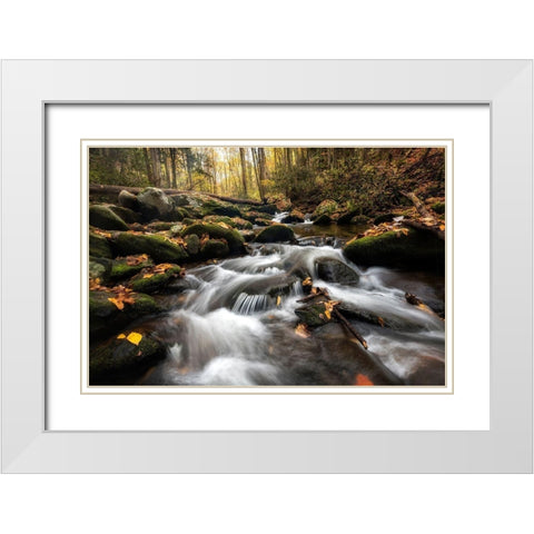 Fallen Leaves III White Modern Wood Framed Art Print with Double Matting by Head, Danny