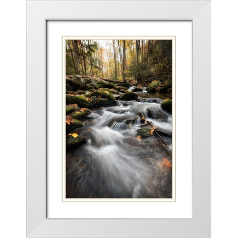 Fallen  Leaves IV White Modern Wood Framed Art Print with Double Matting by Head, Danny