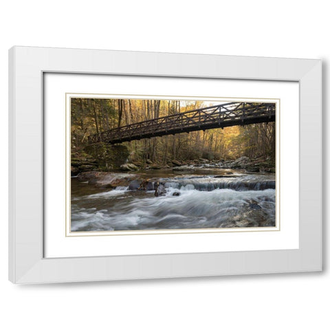 Bridge to Autumn I White Modern Wood Framed Art Print with Double Matting by Head, Danny