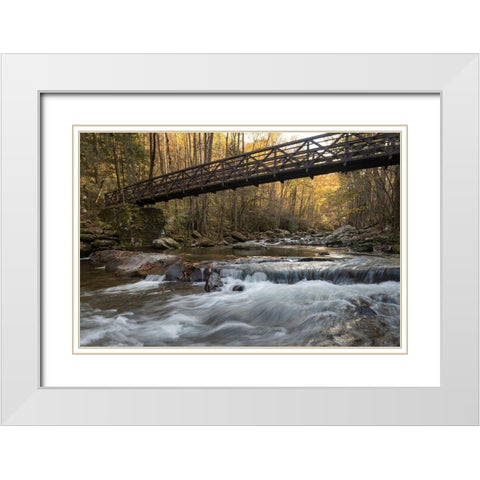 Bridge to Autumn I White Modern Wood Framed Art Print with Double Matting by Head, Danny