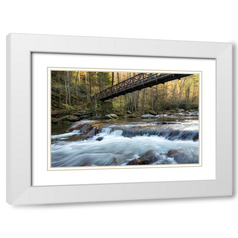 Bridge to Autumn II White Modern Wood Framed Art Print with Double Matting by Head, Danny