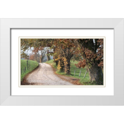 Hyatt Lane II White Modern Wood Framed Art Print with Double Matting by Head, Danny