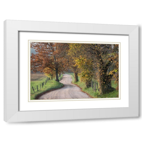 Hyatt Lane III White Modern Wood Framed Art Print with Double Matting by Head, Danny