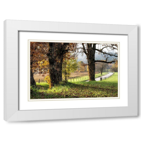 Beside theLane  White Modern Wood Framed Art Print with Double Matting by Head, Danny