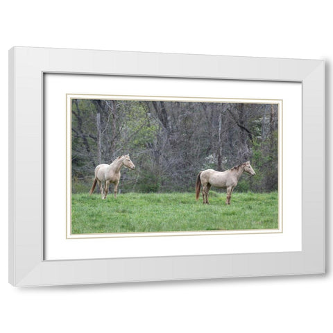 Buddies I White Modern Wood Framed Art Print with Double Matting by Head, Danny