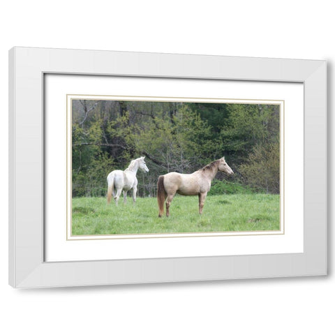 Buddies II White Modern Wood Framed Art Print with Double Matting by Head, Danny