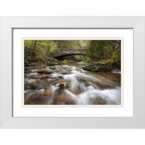 Cool Running White Modern Wood Framed Art Print with Double Matting by Head, Danny