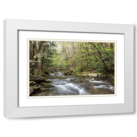 Spring Awakening I White Modern Wood Framed Art Print with Double Matting by Head, Danny