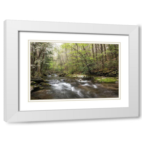 Spring Awakening II White Modern Wood Framed Art Print with Double Matting by Head, Danny