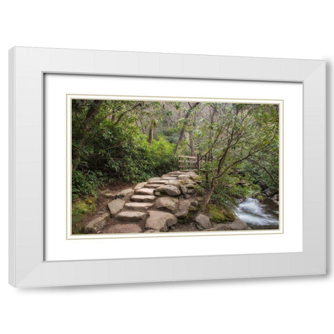 Stone Steps White Modern Wood Framed Art Print with Double Matting by Head, Danny