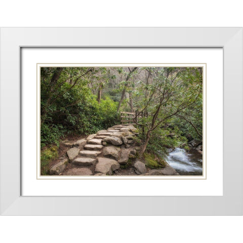 Stone Steps White Modern Wood Framed Art Print with Double Matting by Head, Danny
