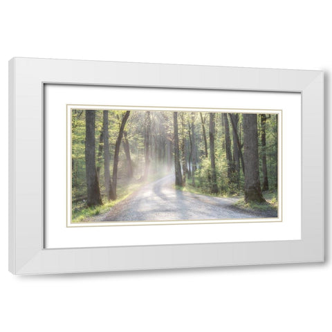 Misty Road White Modern Wood Framed Art Print with Double Matting by Head, Danny