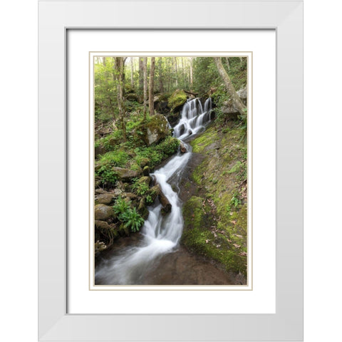 Woven Silk II White Modern Wood Framed Art Print with Double Matting by Head, Danny