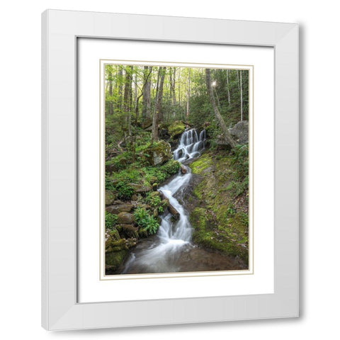 Woven Silk I White Modern Wood Framed Art Print with Double Matting by Head, Danny