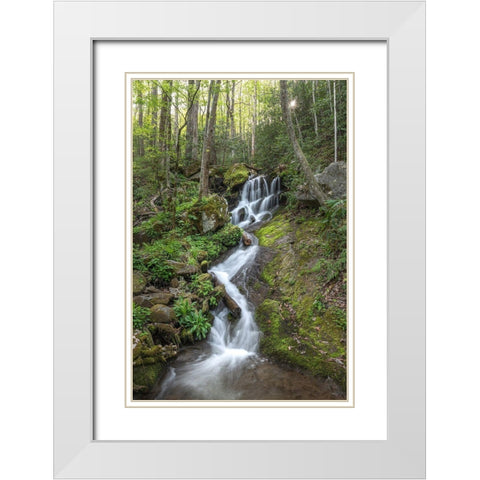 Woven Silk I White Modern Wood Framed Art Print with Double Matting by Head, Danny
