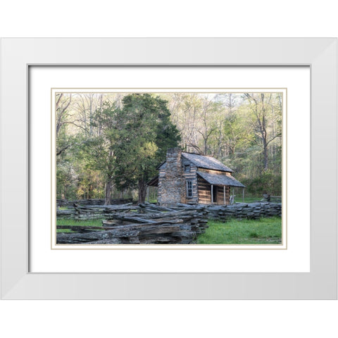 The Cabin II White Modern Wood Framed Art Print with Double Matting by Head, Danny