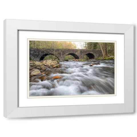Stone Bridge White Modern Wood Framed Art Print with Double Matting by Head, Danny