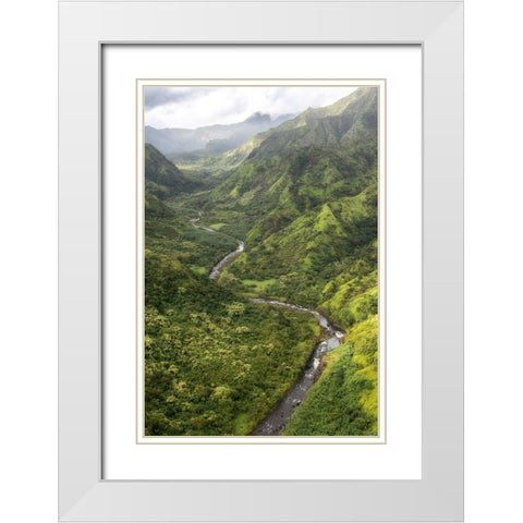 Hanalei Valley I White Modern Wood Framed Art Print with Double Matting by Head, Danny