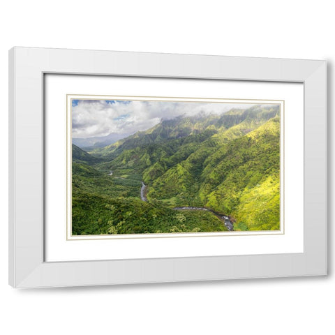 Hanalei Valley II White Modern Wood Framed Art Print with Double Matting by Head, Danny