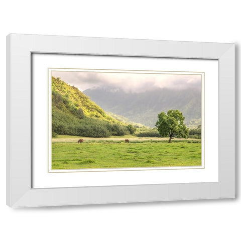 Kauai Grazing White Modern Wood Framed Art Print with Double Matting by Head, Danny