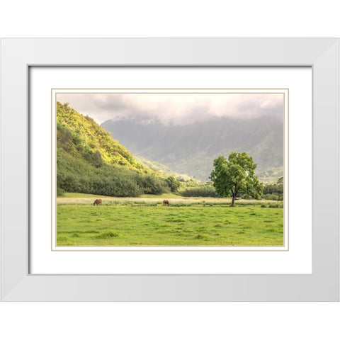 Kauai Grazing White Modern Wood Framed Art Print with Double Matting by Head, Danny