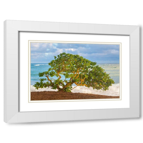Beachside Tree White Modern Wood Framed Art Print with Double Matting by Head, Danny