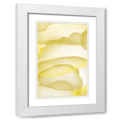 Yellow Paper White Modern Wood Framed Art Print with Double Matting by Aesthete
