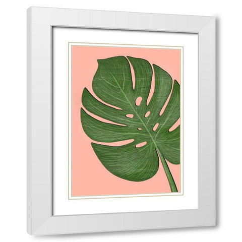 Exotic Leaf One White Modern Wood Framed Art Print with Double Matting by Aesthete