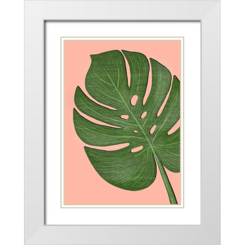 Exotic Leaf One White Modern Wood Framed Art Print with Double Matting by Aesthete