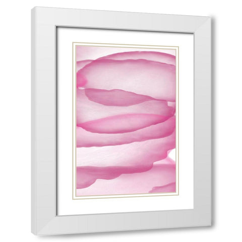 Pink Paper White Modern Wood Framed Art Print with Double Matting by Aesthete
