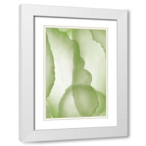 Green Paper Two White Modern Wood Framed Art Print with Double Matting by Aesthete