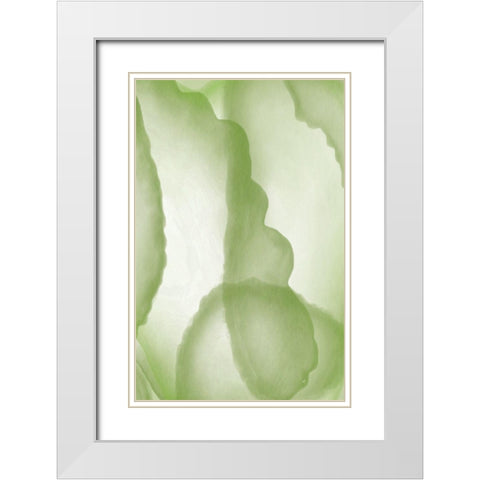 Green Paper Two White Modern Wood Framed Art Print with Double Matting by Aesthete