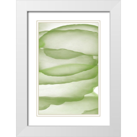Green Paper Three White Modern Wood Framed Art Print with Double Matting by Aesthete