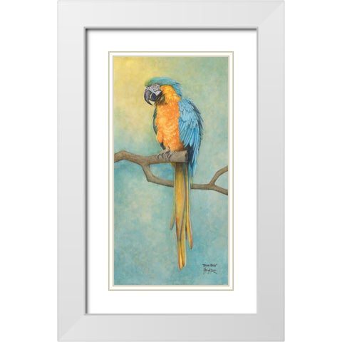 Macaw- Blue Boy White Modern Wood Framed Art Print with Double Matting by Rizzo, Gene