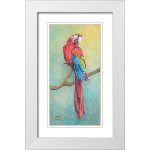 Macaw-Scarlet White Modern Wood Framed Art Print with Double Matting by Rizzo, Gene