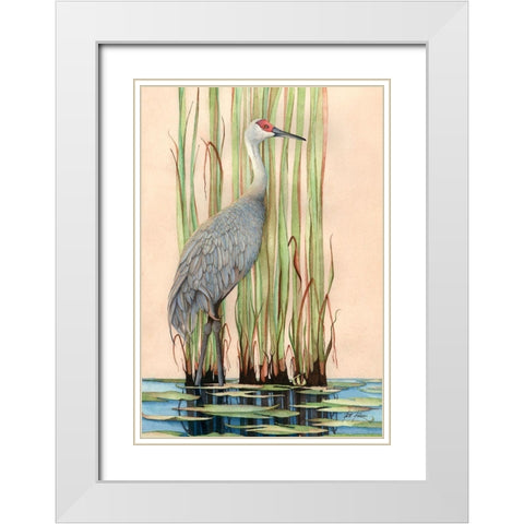 Sandhill Crane White Modern Wood Framed Art Print with Double Matting by Rizzo, Gene