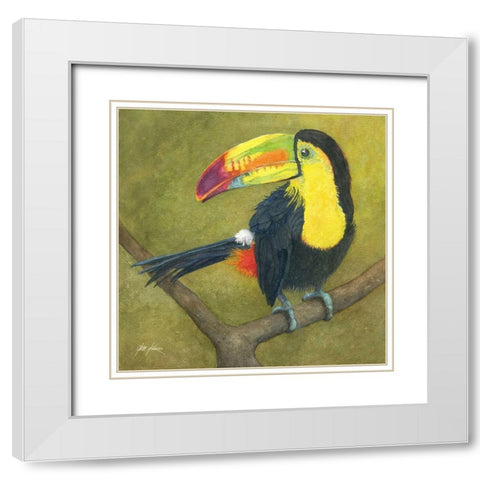 Toucan White Modern Wood Framed Art Print with Double Matting by Rizzo, Gene