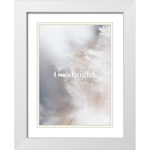 Goodnight Feathers White Modern Wood Framed Art Print with Double Matting by Mi, Suki