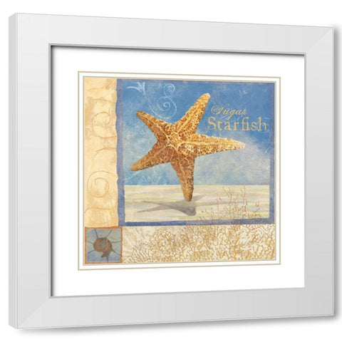 Ocean Beauties IV White Modern Wood Framed Art Print with Double Matting by Art Licensing Studio