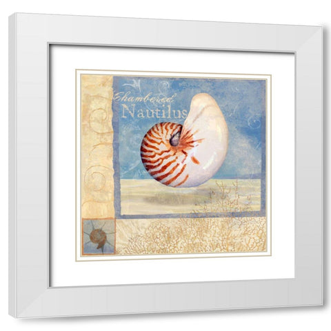 Ocean Beauties V White Modern Wood Framed Art Print with Double Matting by Art Licensing Studio