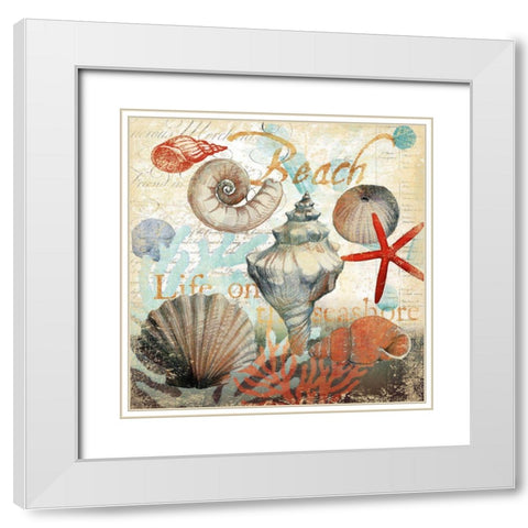 Shell Collector1 White Modern Wood Framed Art Print with Double Matting by Art Licensing Studio