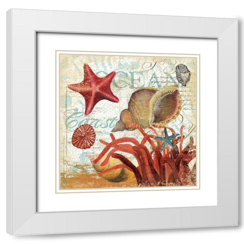 Shell Collector 1I White Modern Wood Framed Art Print with Double Matting by Art Licensing Studio