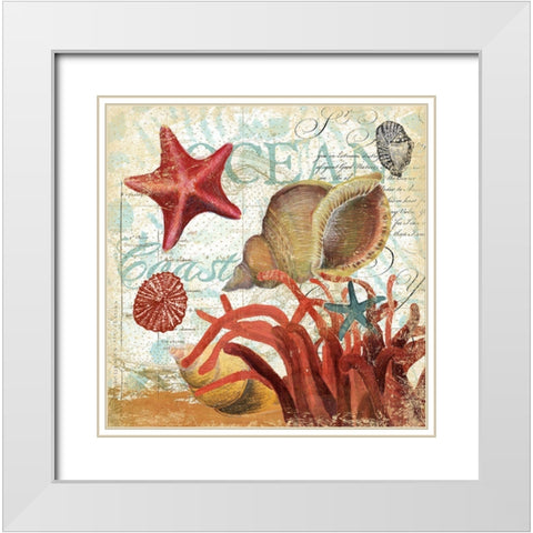 Shell Collector 1I White Modern Wood Framed Art Print with Double Matting by Art Licensing Studio