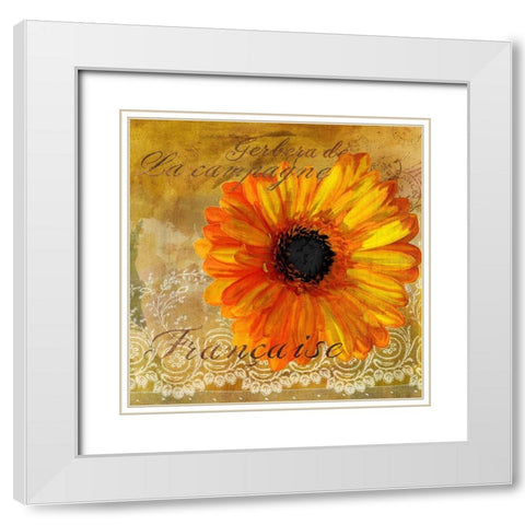 Gerbera Francaise White Modern Wood Framed Art Print with Double Matting by Art Licensing Studio