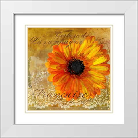 Gerbera Francaise White Modern Wood Framed Art Print with Double Matting by Art Licensing Studio